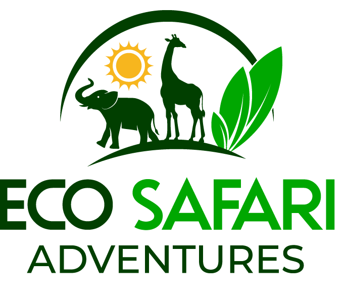 eco safari drenthe